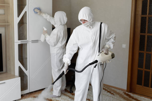 Mold Testing and Removal in Crane, TX