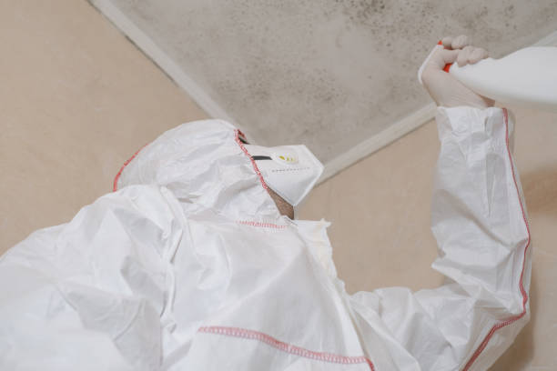 Best Fast Mold Removal  in Crane, TX